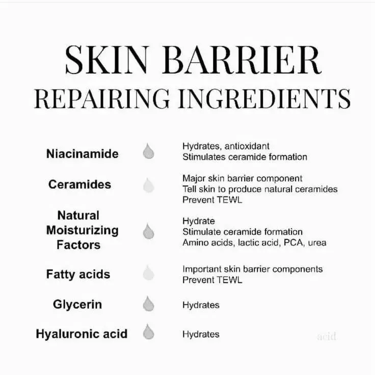 maklon kosmetik skincare ingredient for strengthen skin barrier