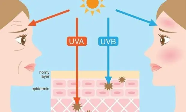 maklon sunscreen_PA_UVA_UVB