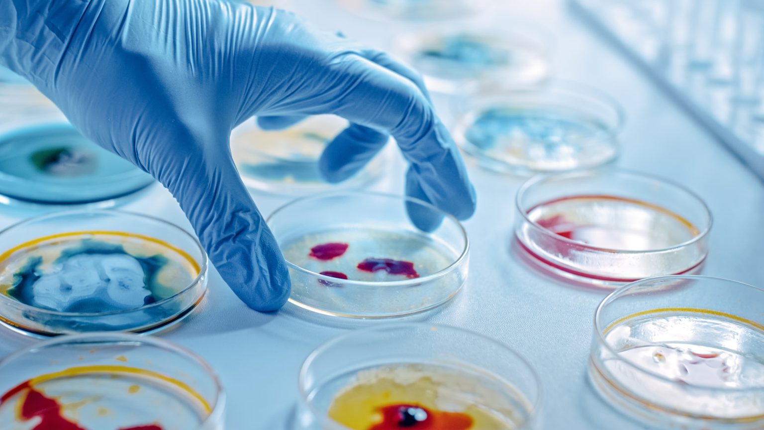 3 Keunggulan Uji In Vitro untuk Menilai Keamanan Produk Kosmetik ...